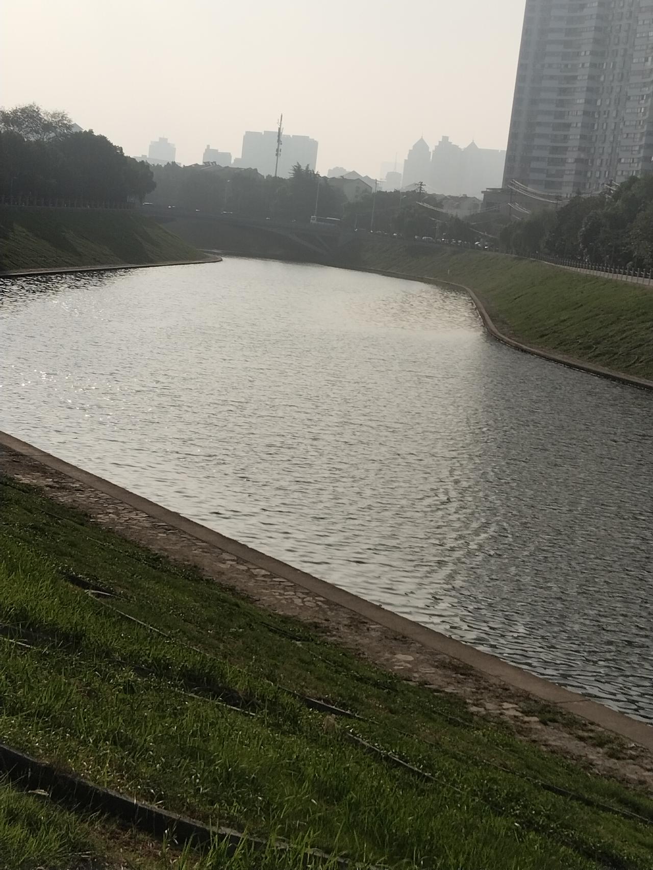 上联：半盏清茶听夜雨，邀您对下联两只红蟀斗晨光