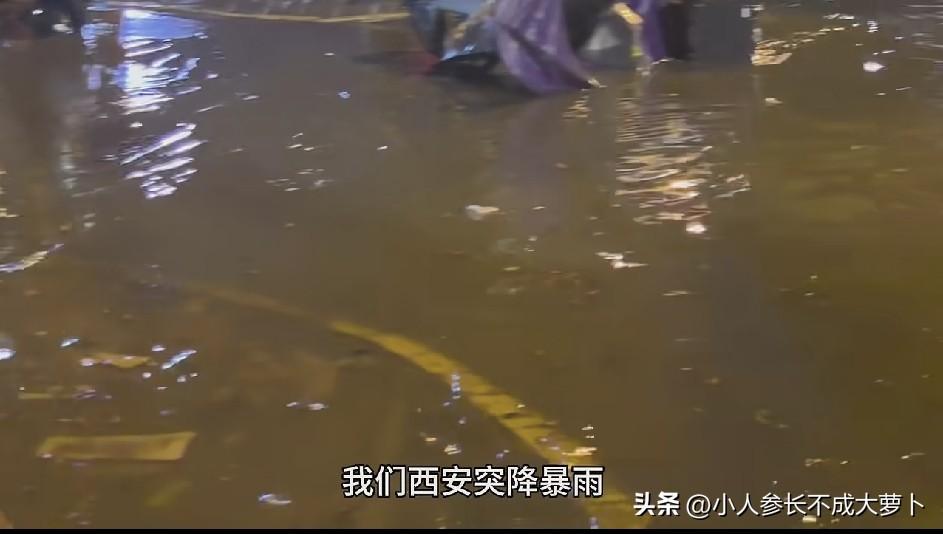 昨晚谁经历了西安的狂风暴雨？！[呲牙]
昨晚那场暴雨，真的把我吵醒了，迷迷糊糊间