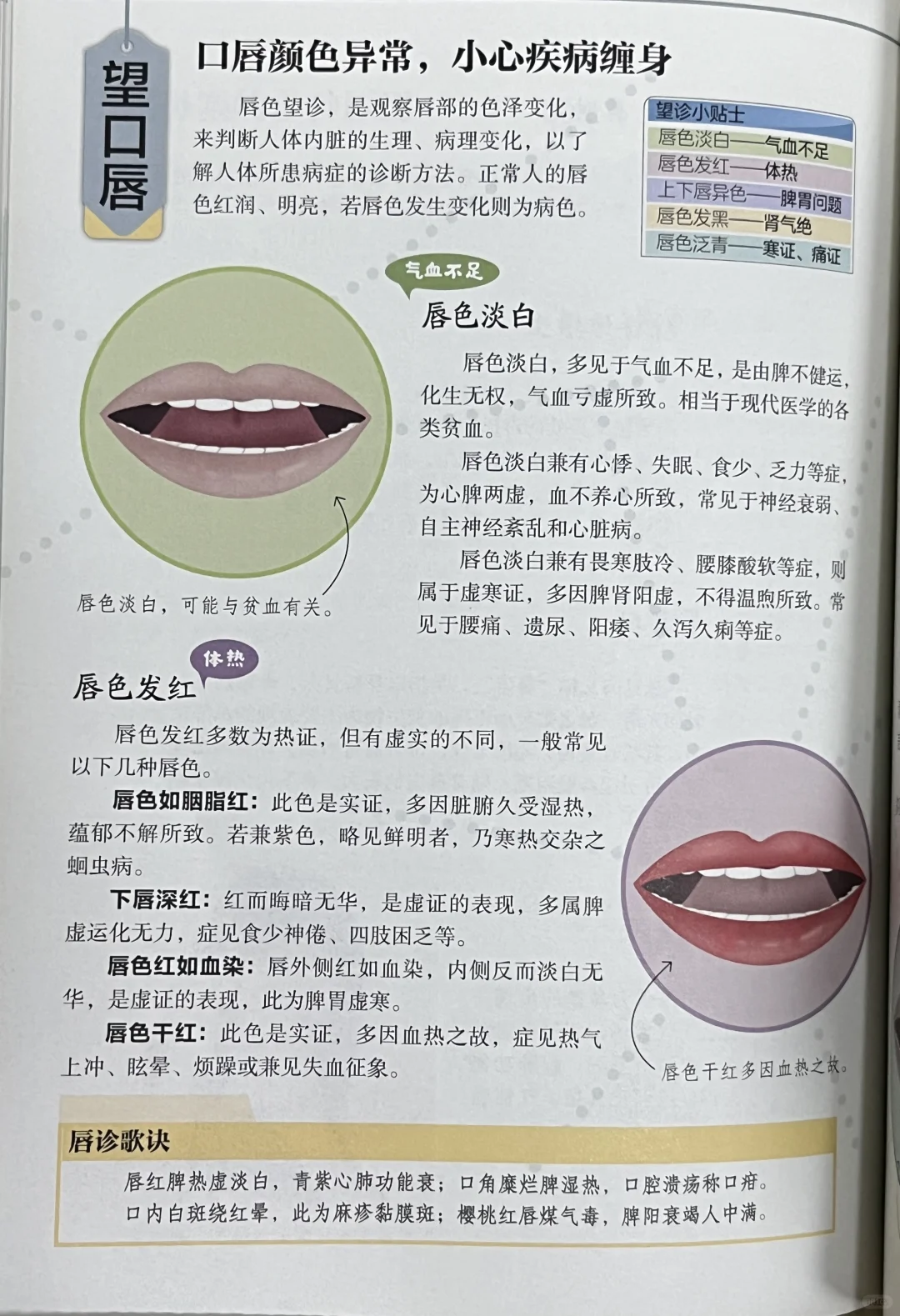 中医之看唇👄识病指南