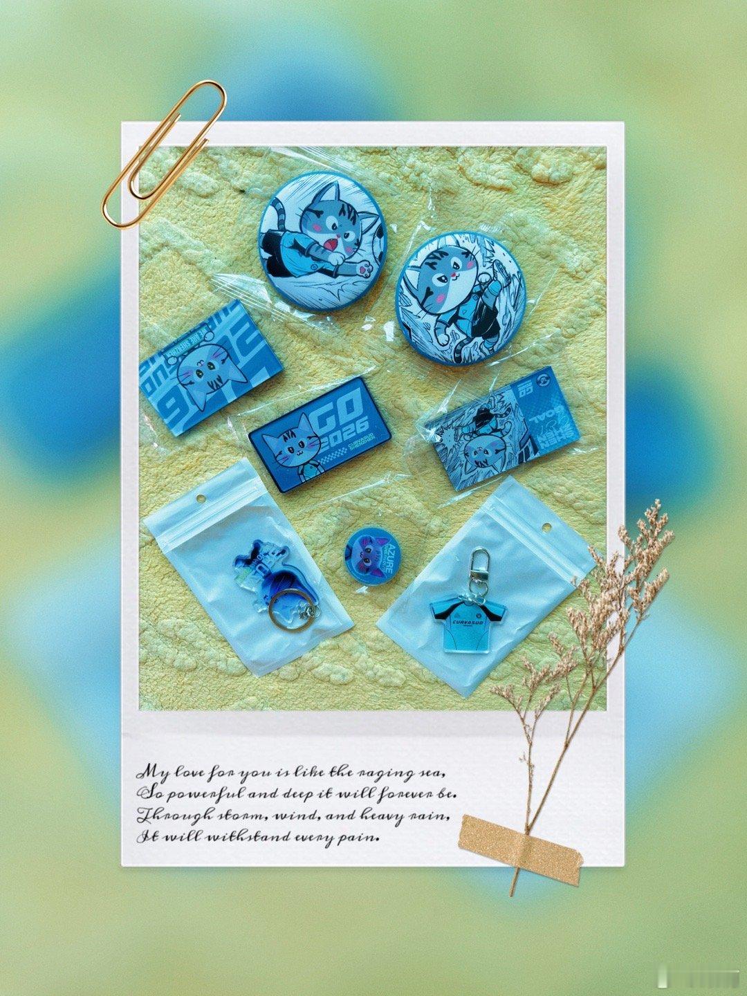 多谢谢会长送给我的周边产品，以吉祥物大帅为主题的围巾、徽章、钥匙扣都设计得十分用