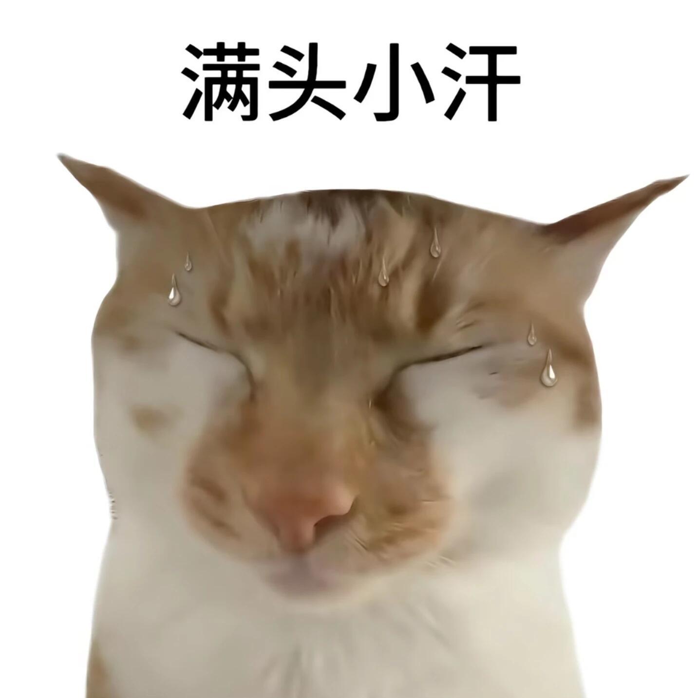 分享图片 ​​​