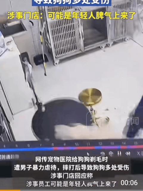 大家送宠物去洗澡美容的时候会在旁边看着吗？[哆啦A梦吃惊][哆啦A梦吃惊] ​​