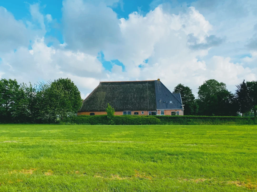 🇳🇱新家—高迪农场