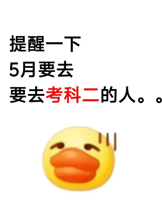 天呐，5月要去考科目二，这样看真的超简单