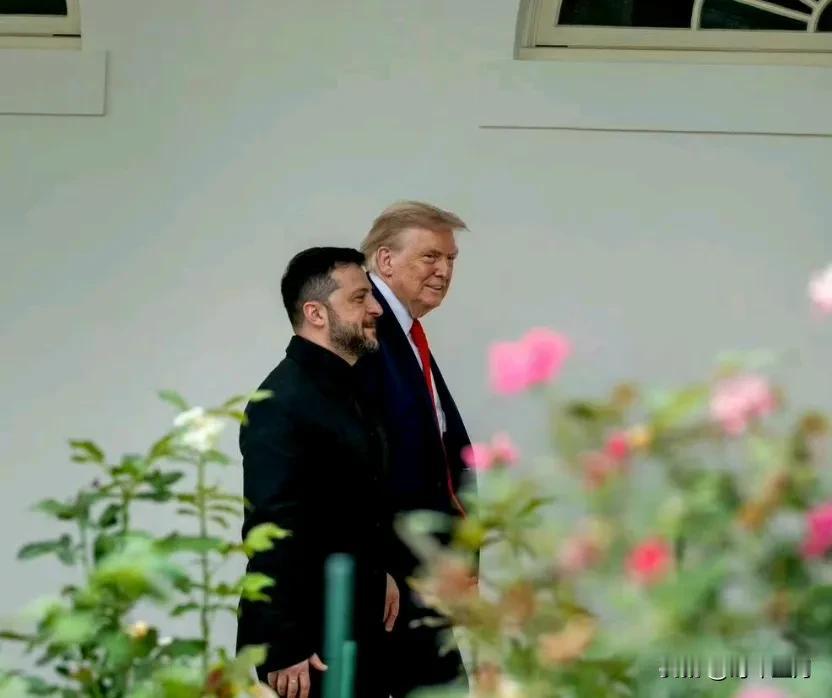 特朗普：“乌克兰说想加入北约……早在普京之前，俄罗斯——或者苏联，随你怎么叫——