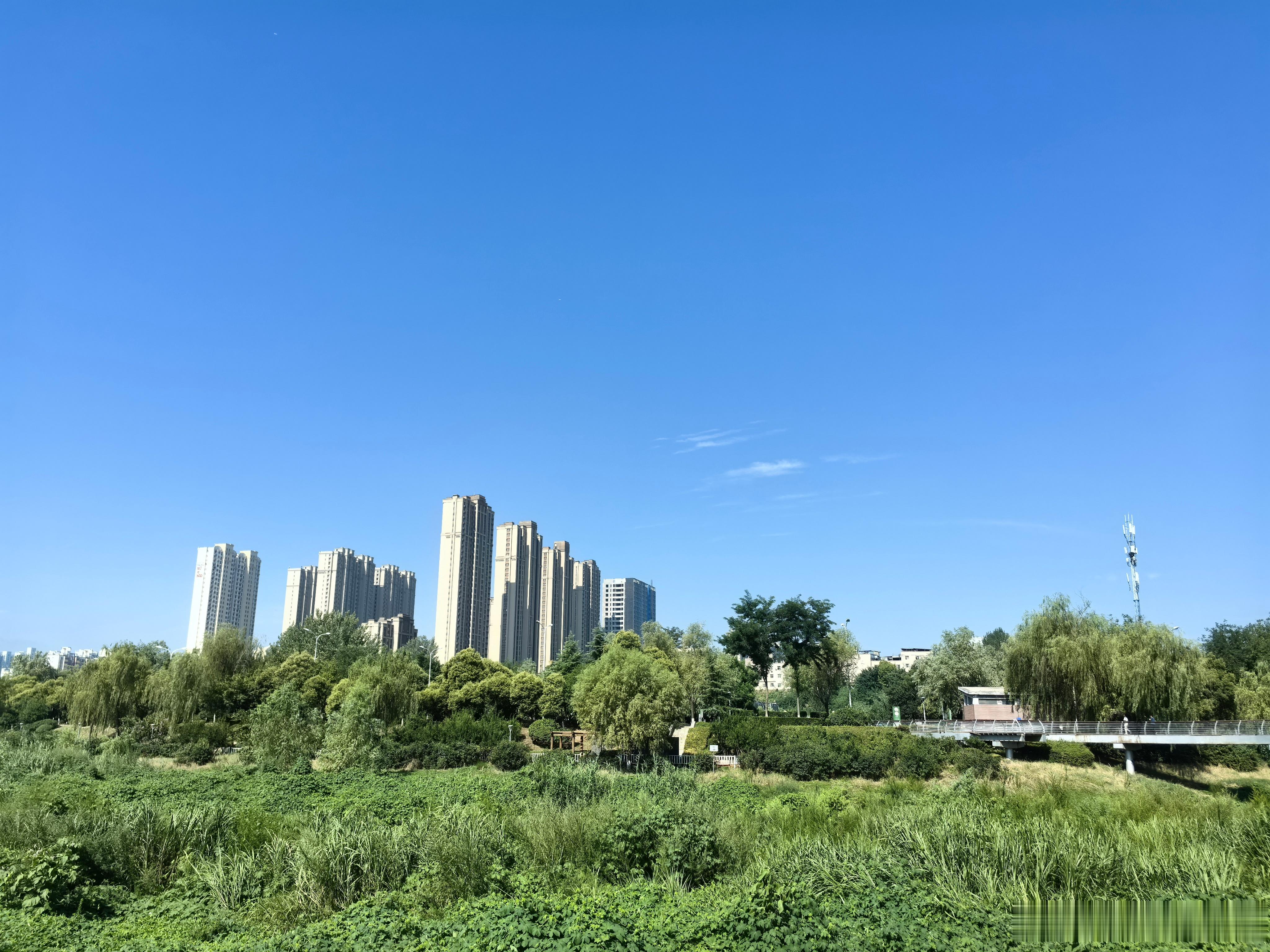 随手拍美景  荣儿的日常 蓝天为幕，荷风入怀。穿行芦苇栈道，在楼宇之间，邂逅属于