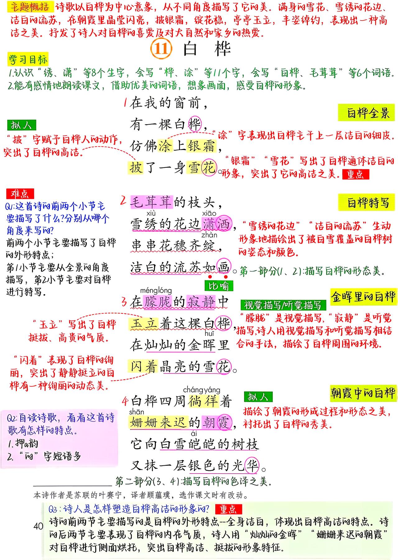 四年级下册语文，第11课《白桦》课堂笔记，收藏复习三年级语文