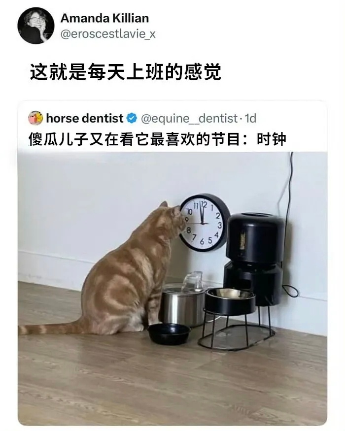 等下班，等周五，等周末～ 