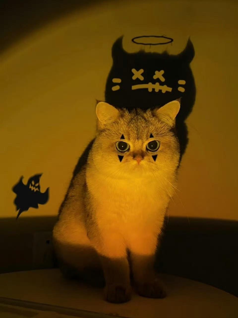 你可真是个可爱鬼。 ​​​