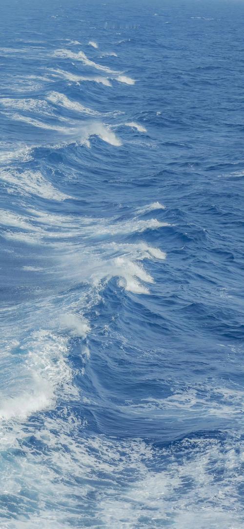 吓出冷汗！梦中惊魂一幕：整座城市被间谍掌控，信号全断求救无门
 
家人们谁懂啊！