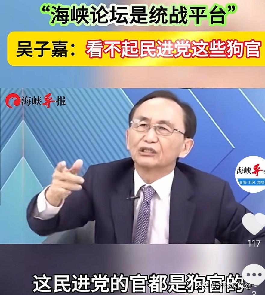台湾美丽岛电子报董事长吴子嘉，最近在节目里直接火力全开，痛批民进党一众官员，言辞