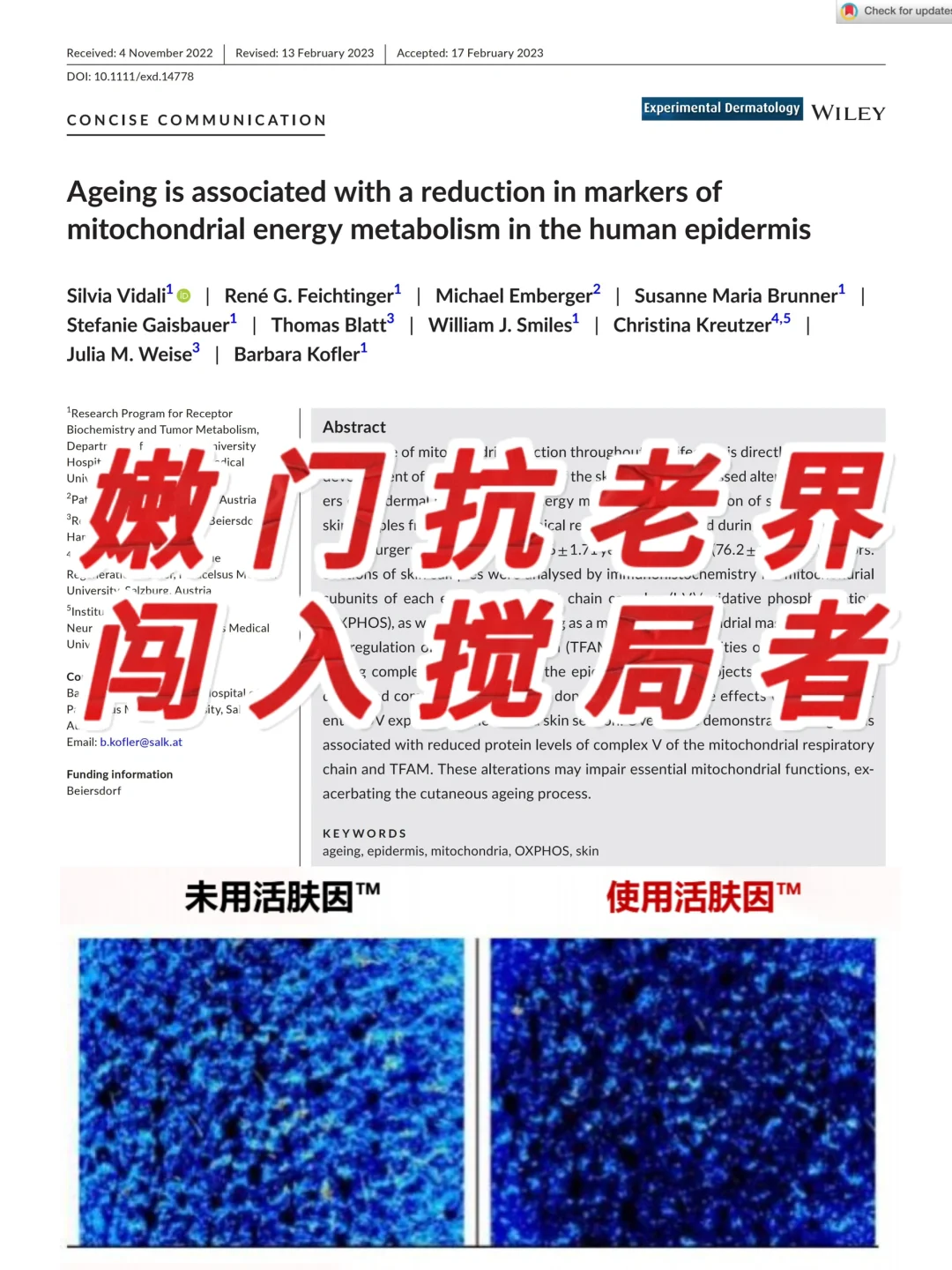 难以相信地狱级磨皮嫩脸的代价为0