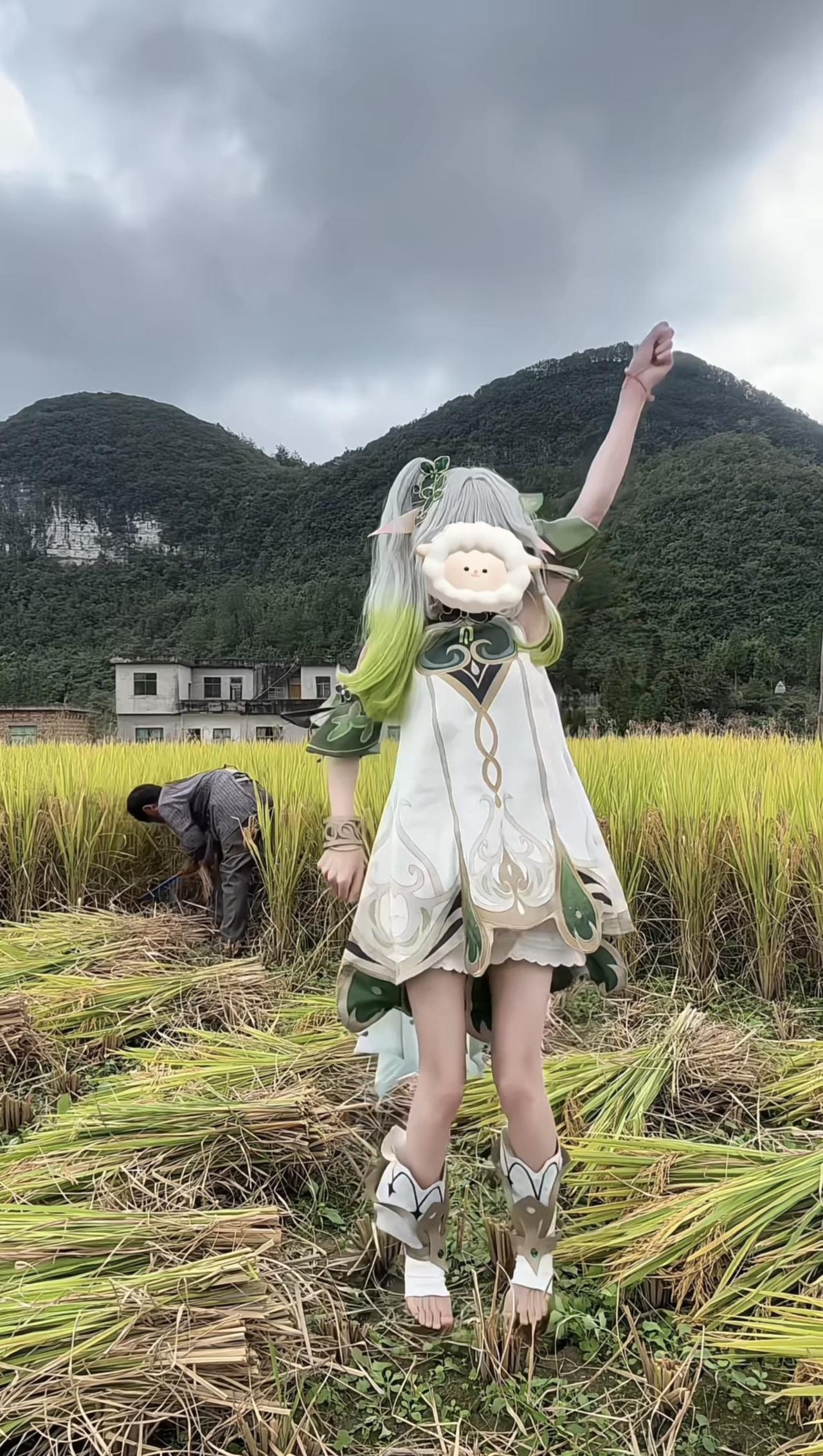 今天是突然闯入原神世界的小吉祥草王！在金色稻田里转圈圈，感觉自己也变成了会发光的