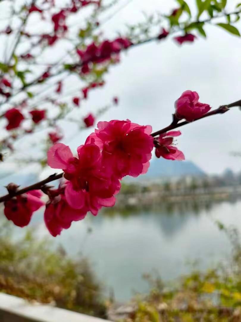 玩法合伙人计划 情绪音乐玩法新风向
