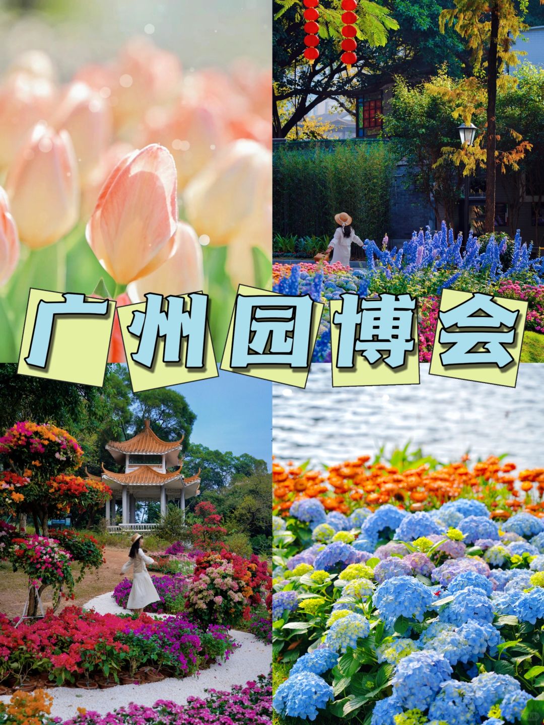 新春遇上园博会🌸接下来的广州像开挂一样