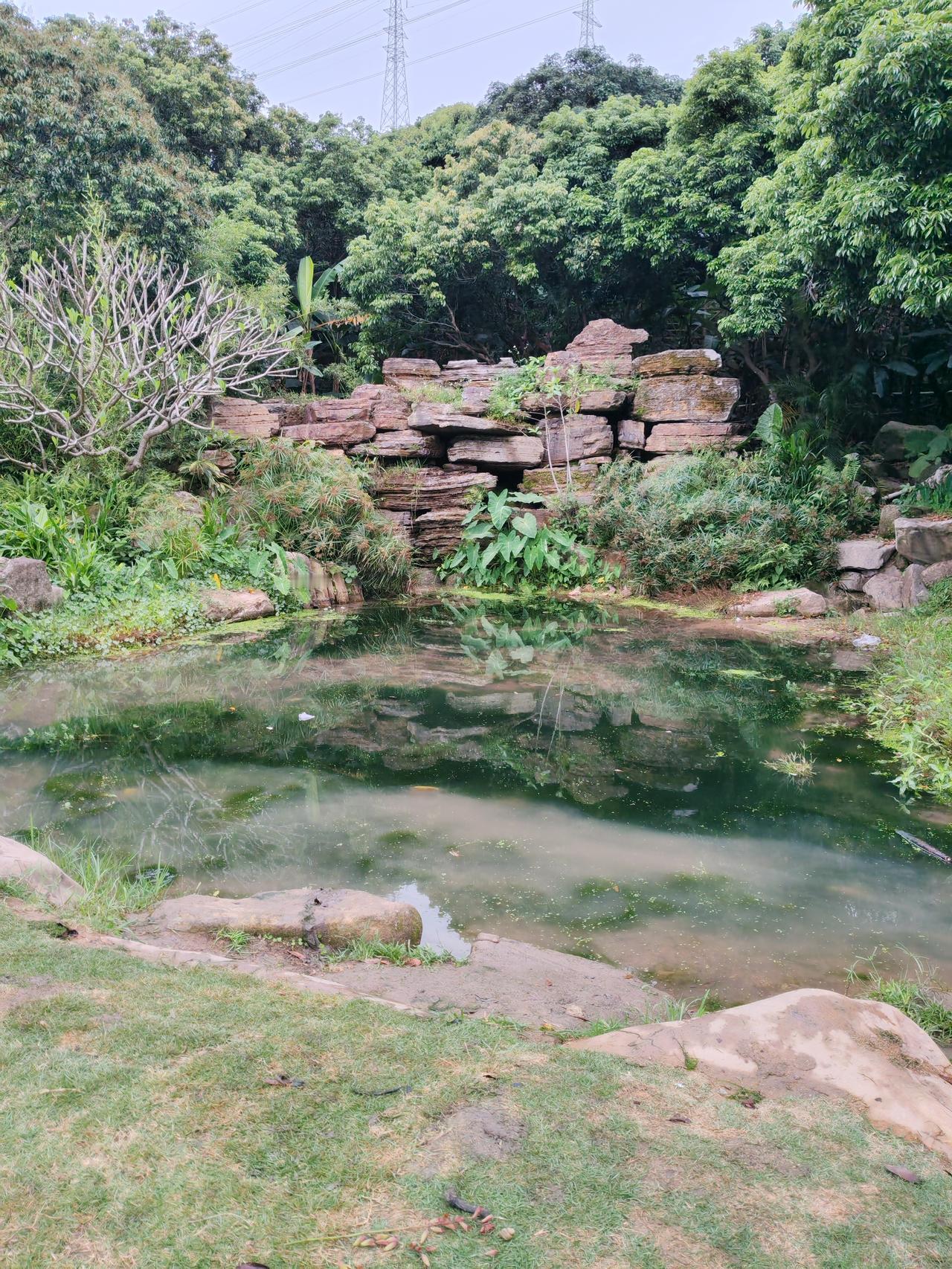 2026年4月8日，A股有520只股票价格站上半年线。半年线即120日均线，是过