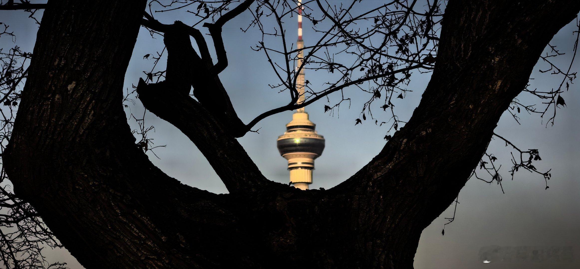 冬日的玉渊潭公园一边是冰封湖面，一边是生机萌动。不由让人想起那句名言：冬天来了，