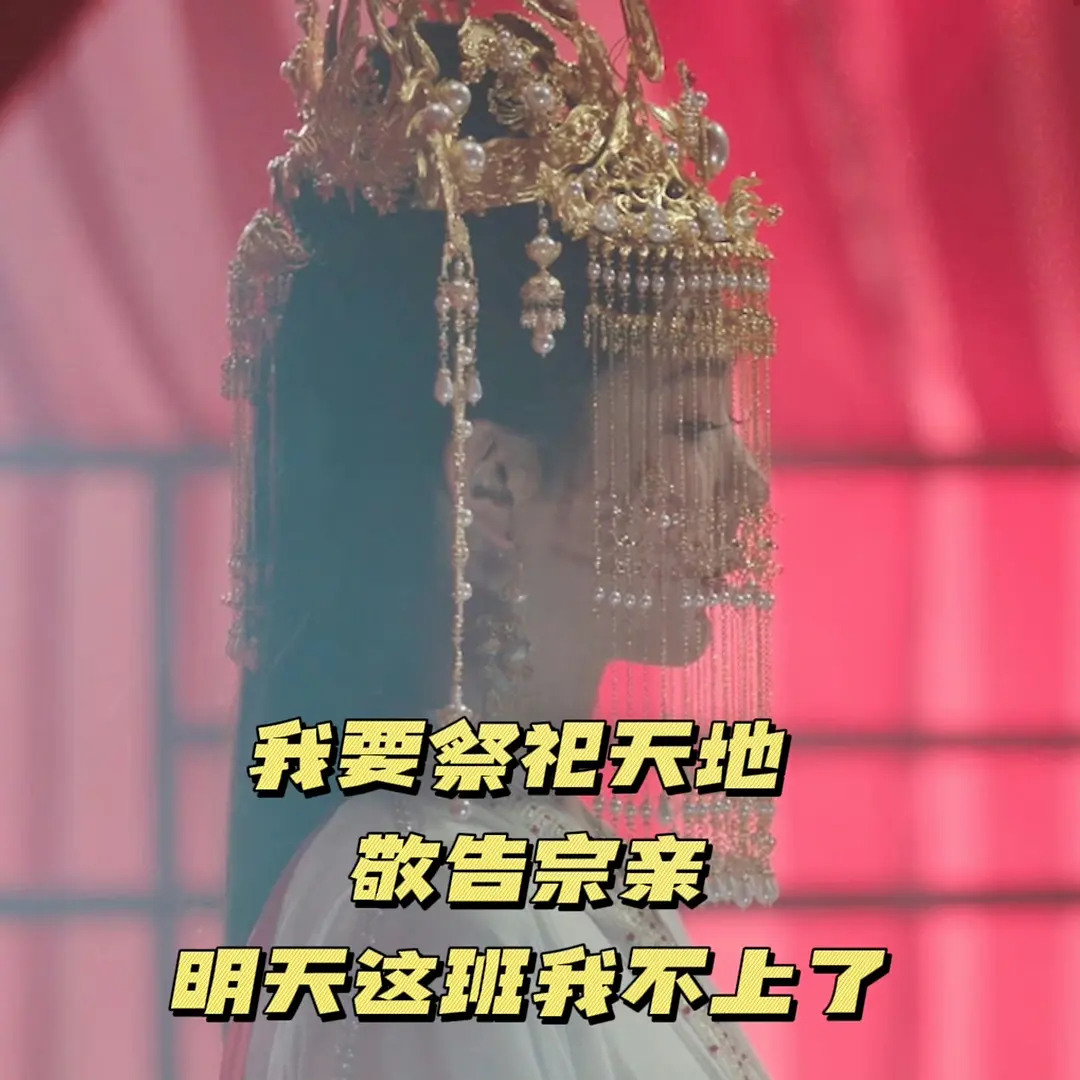 #长相思第二季相思节#[鼓掌] #相思节给流浪的相思豆一个家# 还有谁不知道“相