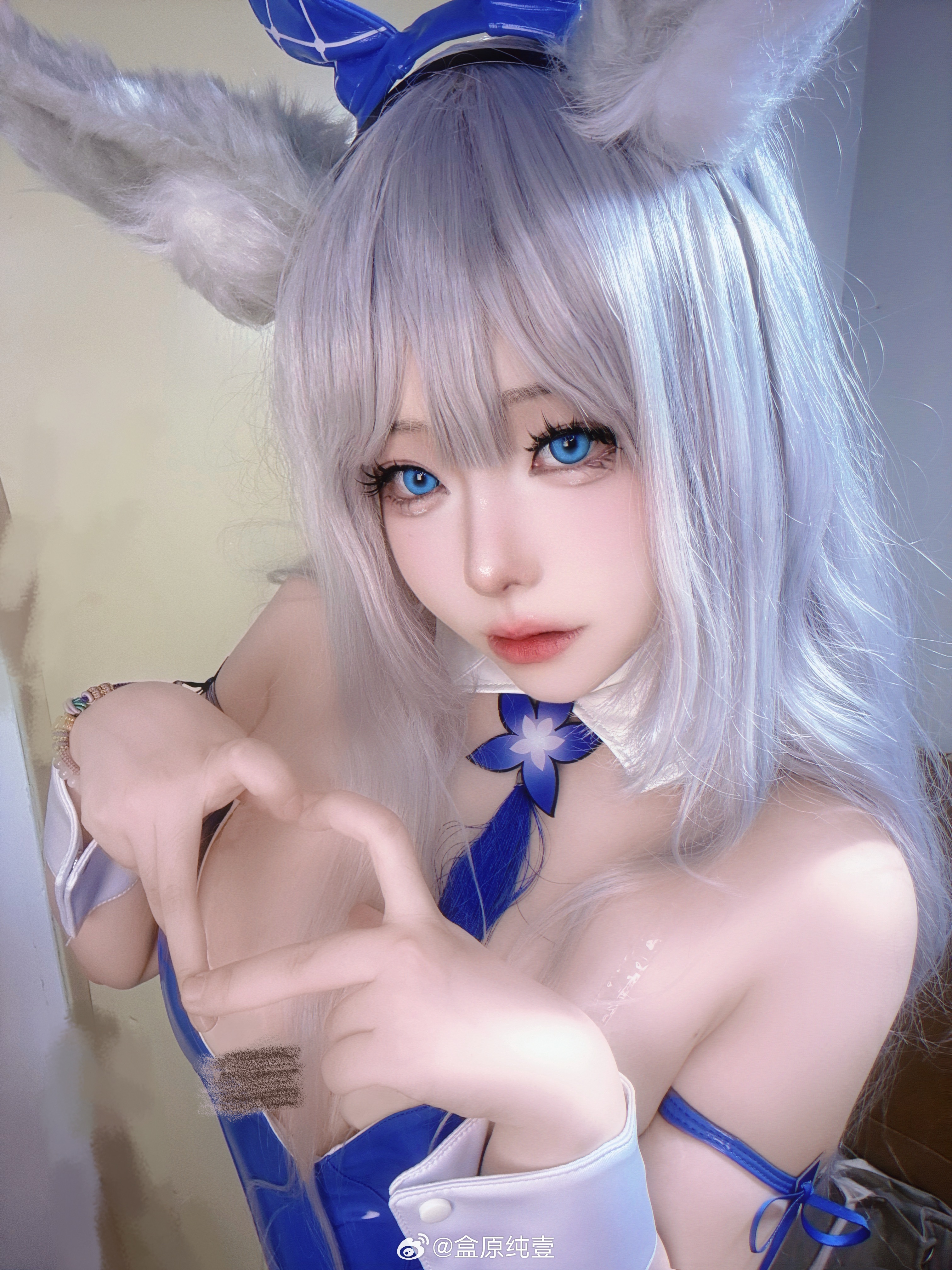 [柯基] ​​​