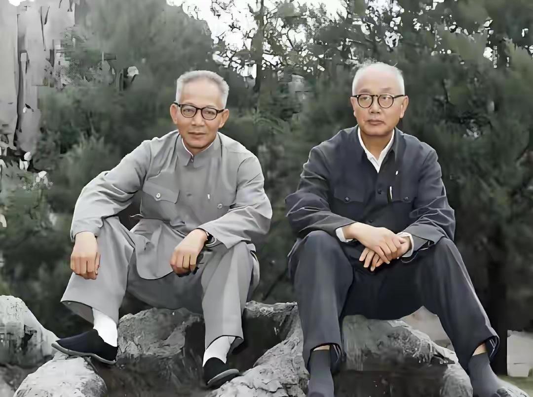 70年代云南石林，拍下的一张老照片。右边这位是李葆华，革命先驱李大钊的儿子，身旁