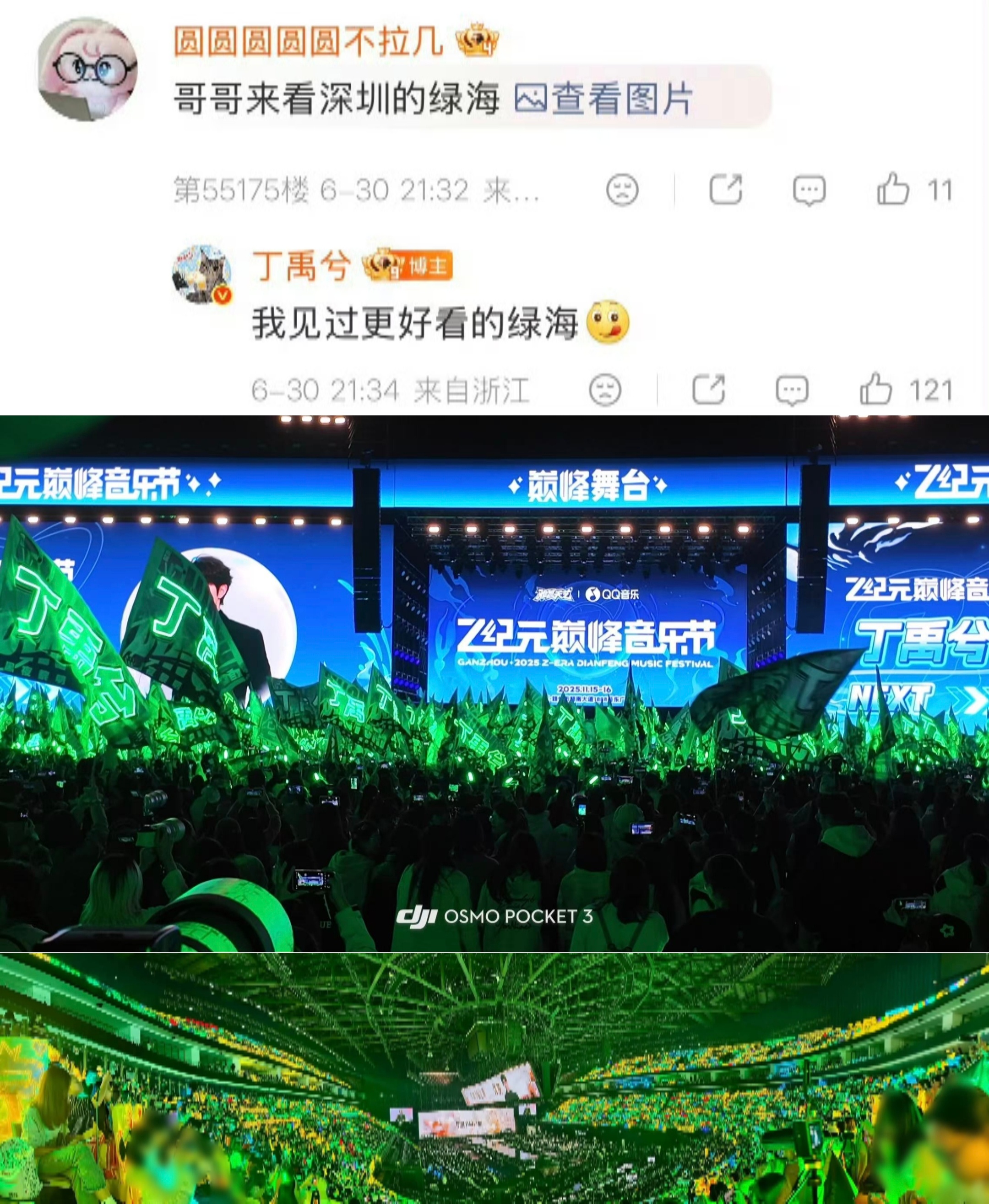 丁禹兮 “我见过更好看的绿海”