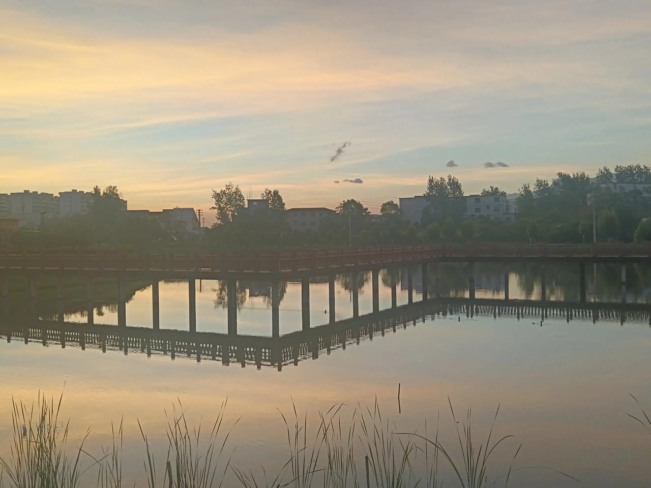 记录我的今日生活8月15日，星期五，当第一缕晨曦挣脱云层的怀抱，商城县和谐小区外