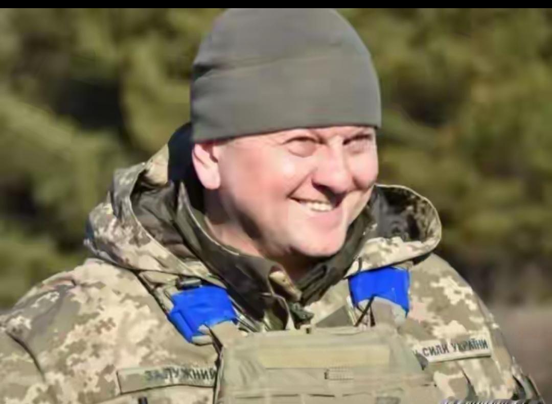 扎卢日内希望西方在乌克兰部署核武器，他认为这样才是对乌克兰的真正安全保障，这不就