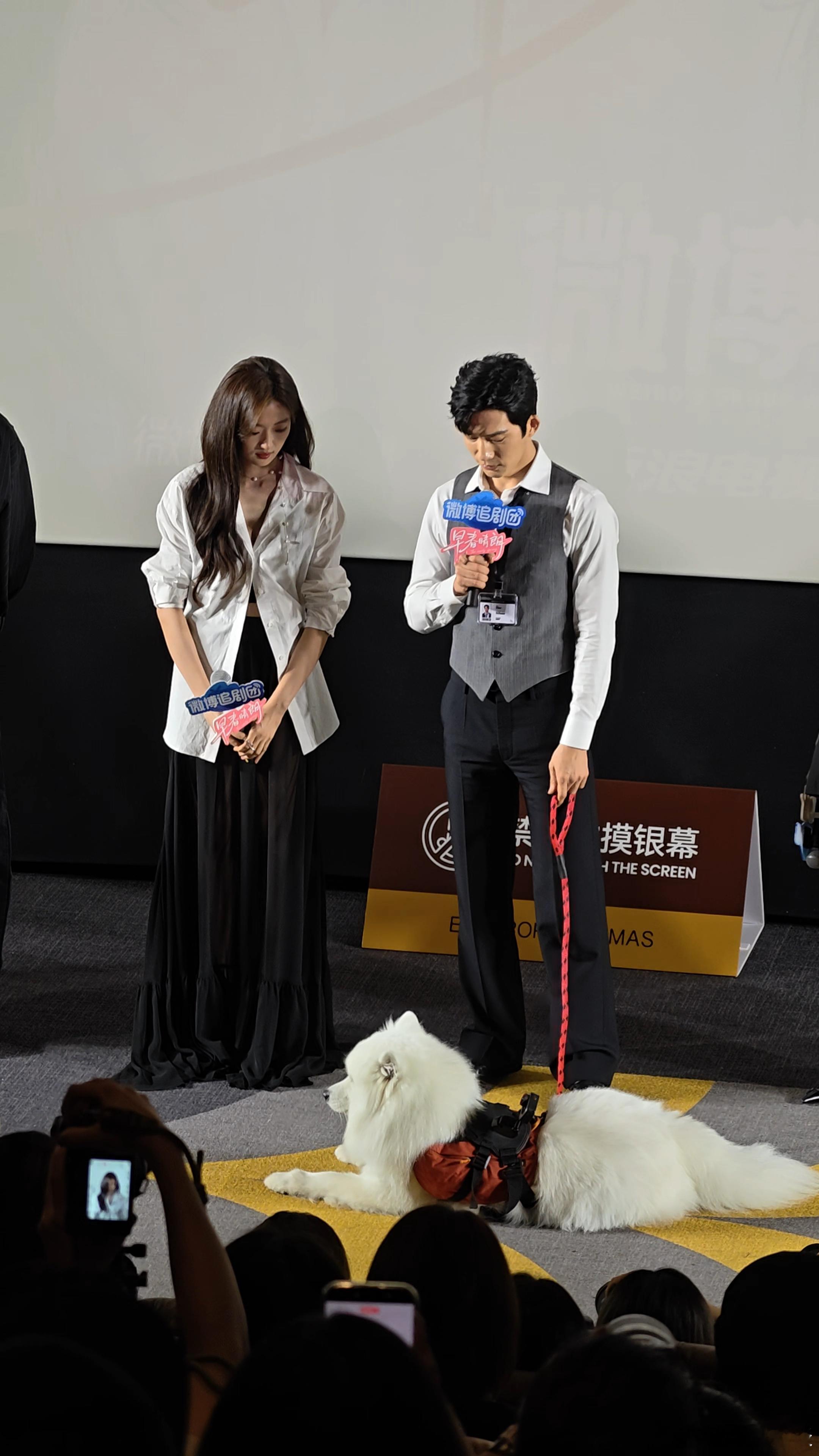 井柏然孙千现场抢狗 本来是正经的角色宣传环节，结果井柏然和孙千注意力全被小狗吸引