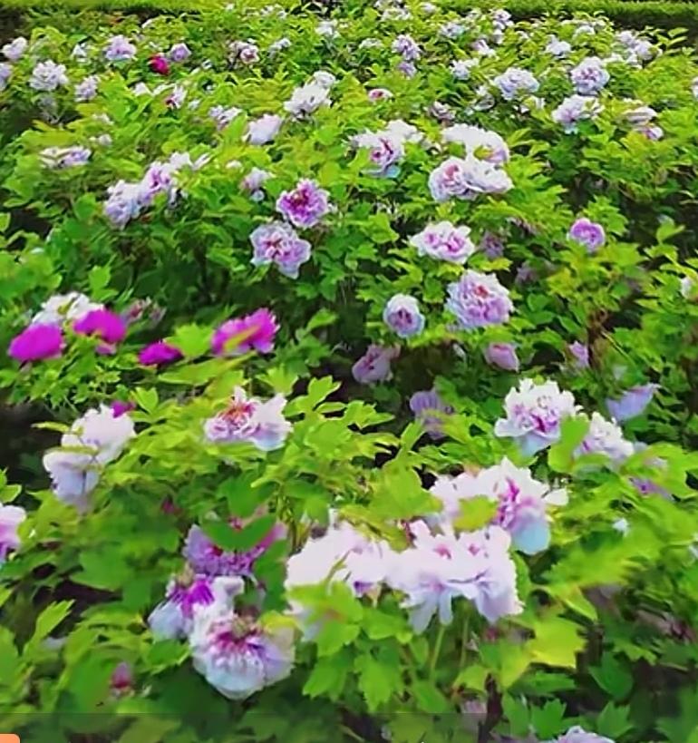 一个人好不好看，除了父母给的长相，还有更关键的是自己后天的修炼。

父母给了你好