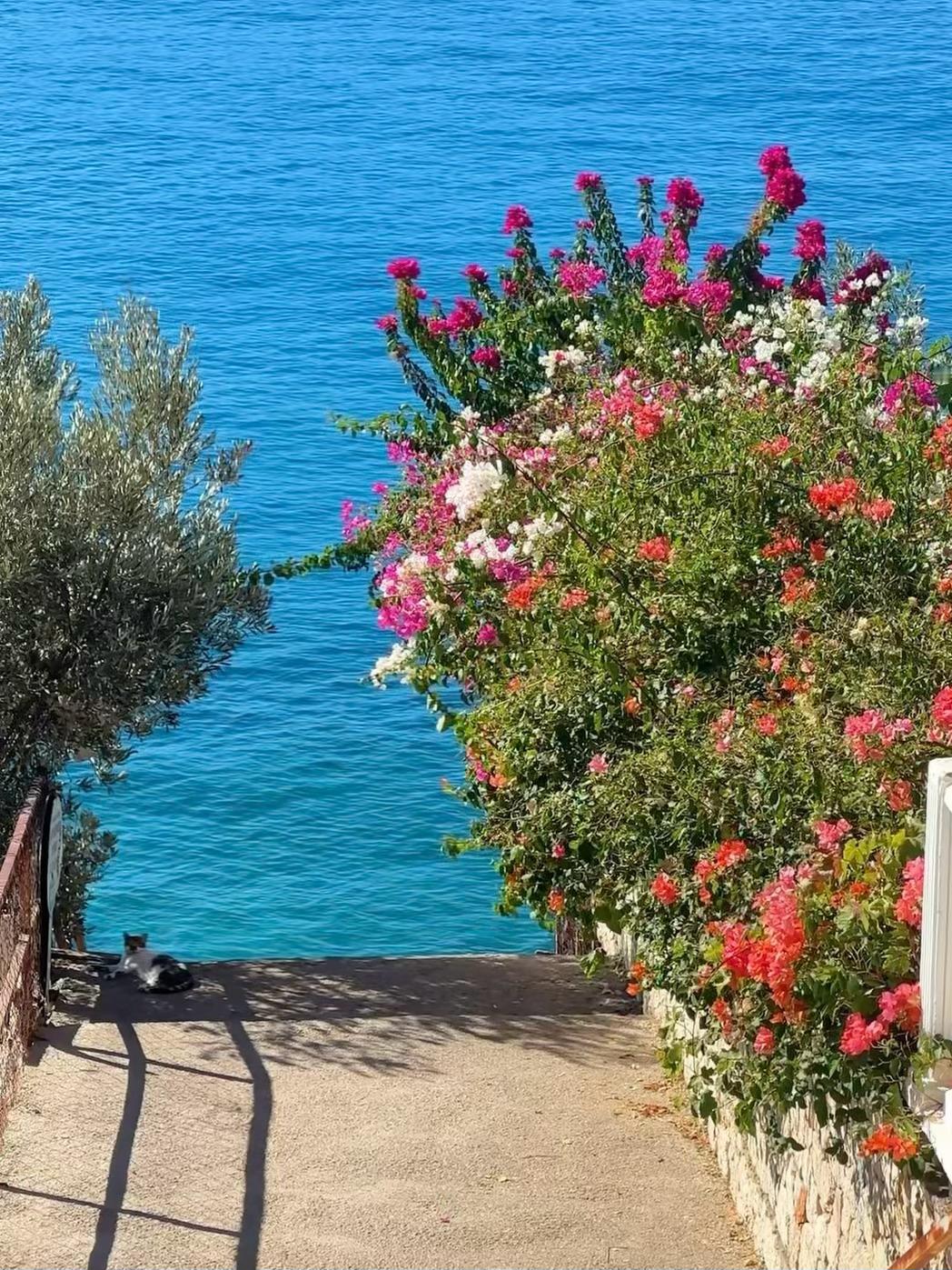 当然要享受生活啦🏝️  ​​​