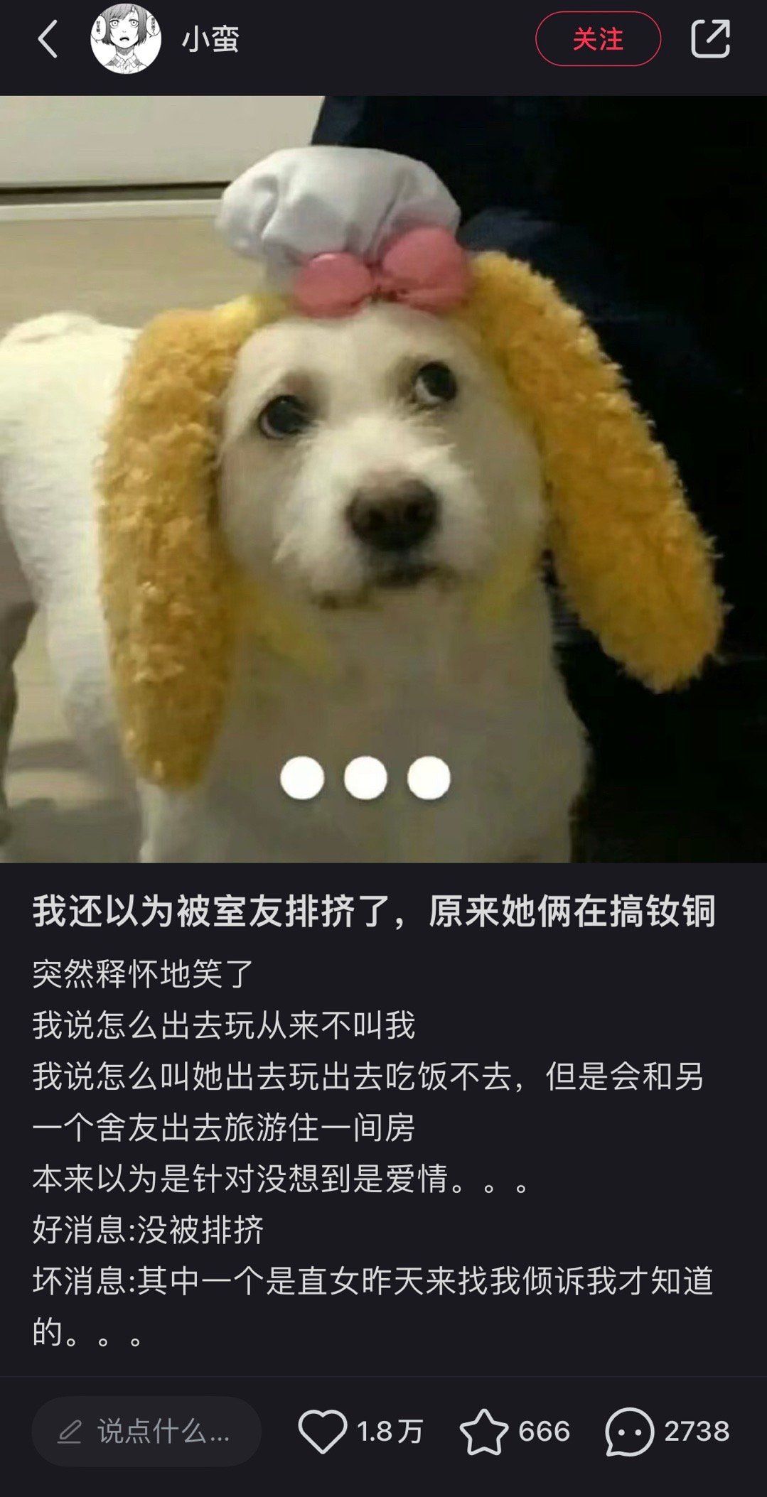 哈哈哈哈这算不算不幸中的万幸 ​​​