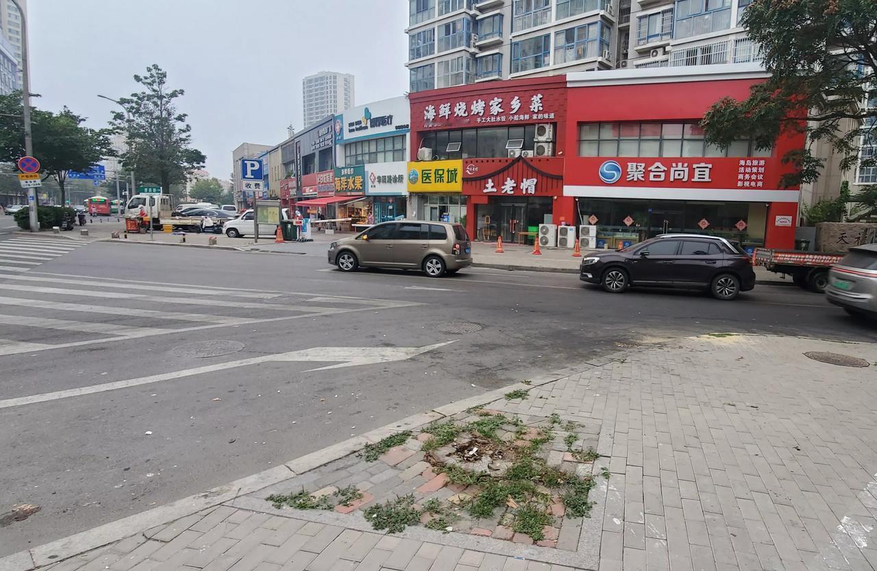 朋友，在青岛的曹县路与辽宁路口，有一个被伐完的大树坑，一直没有被补种。
面对这棵