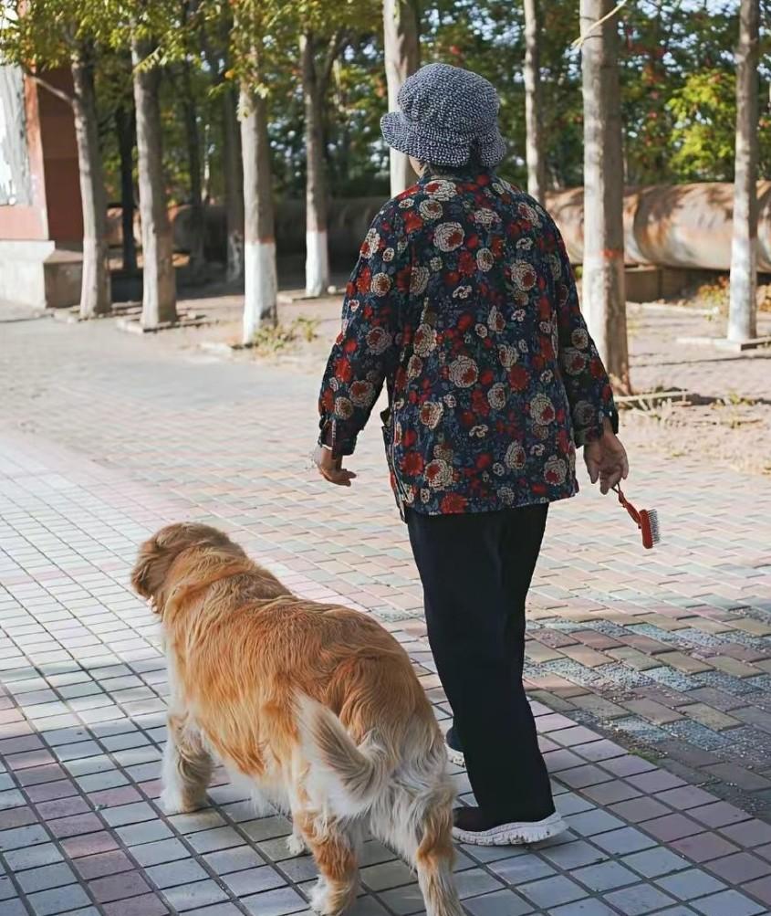 小区有位阿姨，常年遛着一条八十多斤的烈性犬，还从不牵绳。大家多次警告她，她却充耳