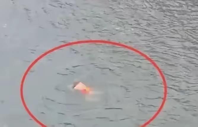 青衣江畔“辣眼”裸泳屡禁不止，市民怒斥：公共空间岂容“天体浴场”？文明底线谁来守