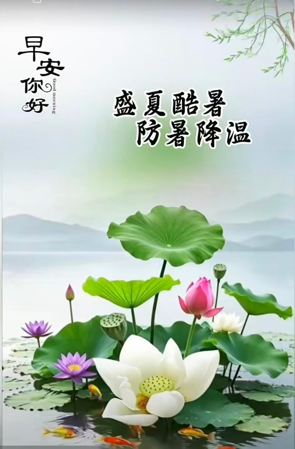 分享图片 