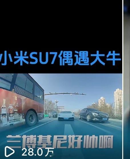 徐洁云打假小米SU7网传图小米在网上遭太多造谣了[开摆]网上的舆论也是，听风就是