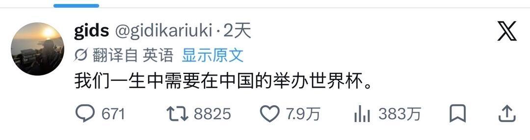 外媒：中国错过了世界杯，但它的裁判没有。