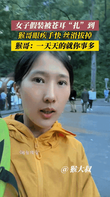 贵州，一女子去景区游玩，看到猴子蹲在路边的石阶上，女子突发奇想从路边灌木上薅下来