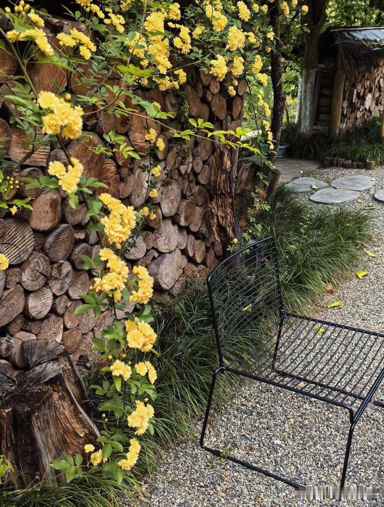 王花花曾经问过我，说我年轻时的照片她看过，小伙子长得也挺帅的，并且，工作单位更好