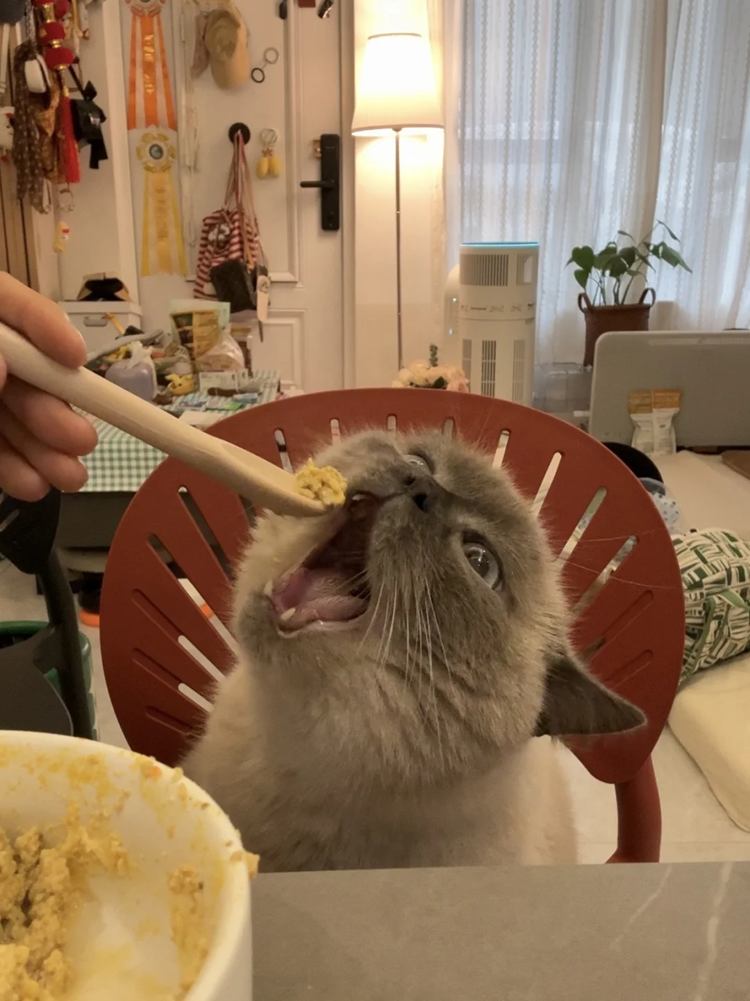 妈妈！直接塞进胃里！