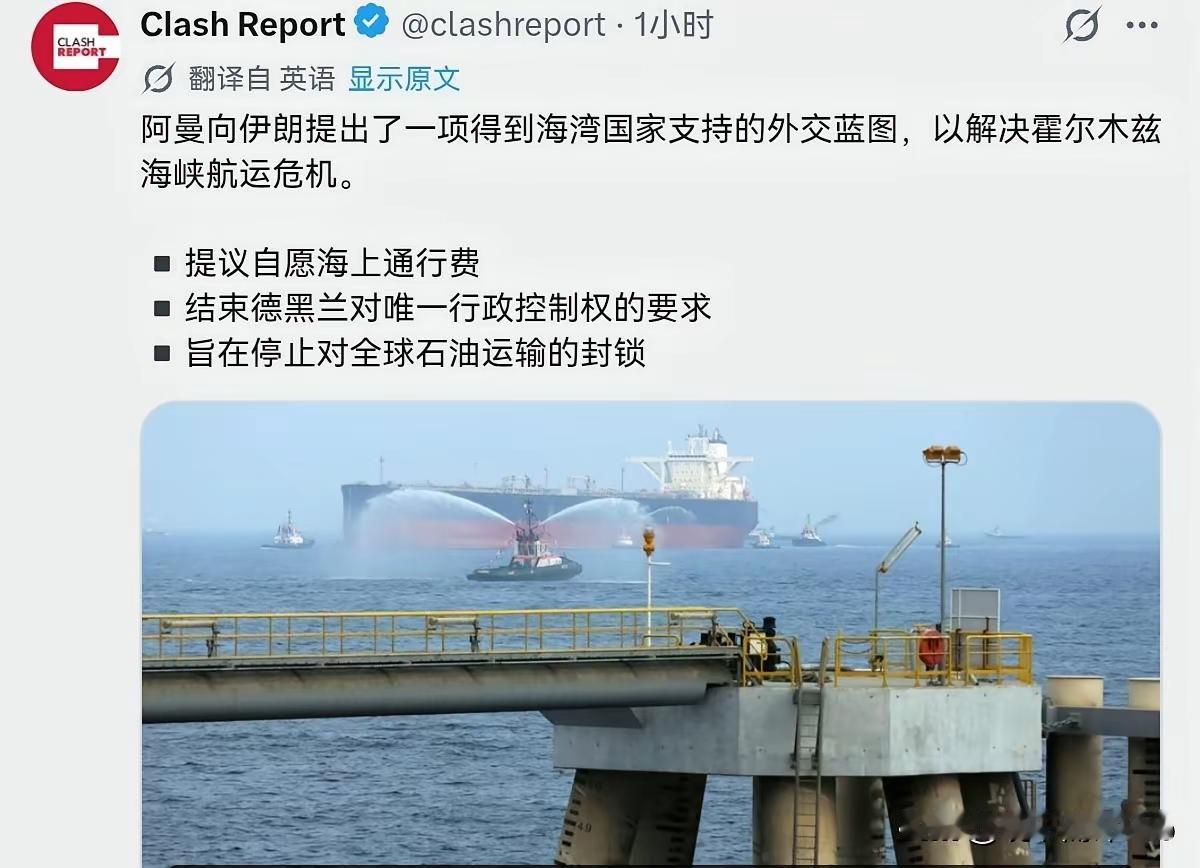 海湾国家认了！
阿曼牵头给伊朗开出了一个条件，就等伊朗点头同意！

7月28日，