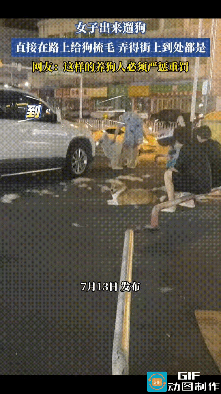 女子遛狗中途停下，直接在步道上用刷子给大狗梳毛，大片狗毛散落一地，地砖上堆起一团
