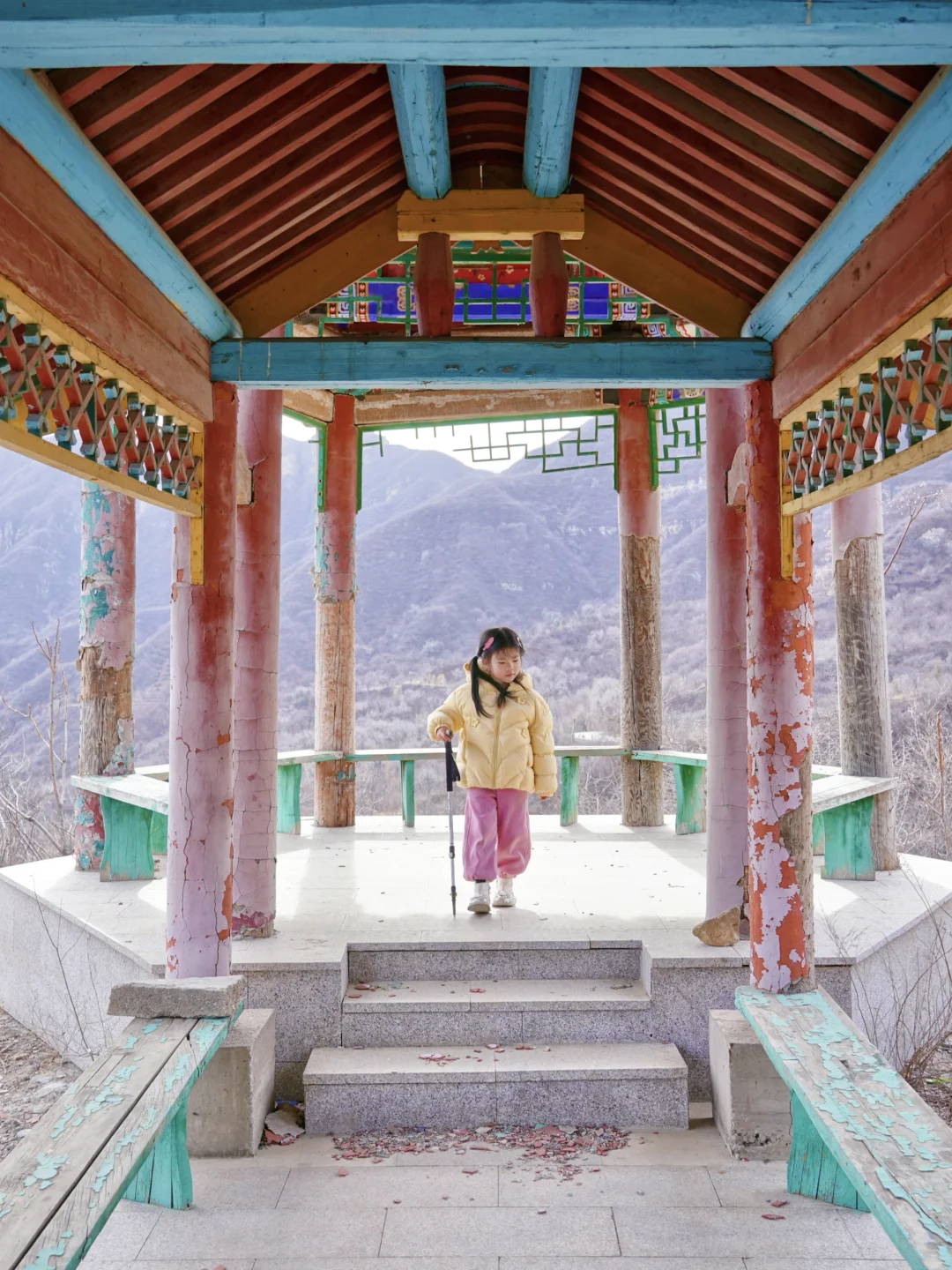 预测会火❗️昌平新开森林步道春游登山❗️