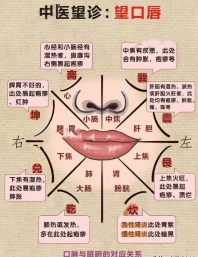 今天讲讲中医“ 望门问切 ”， 四诊中的“ 望  ”诊，——望口唇，看看你哪个脏