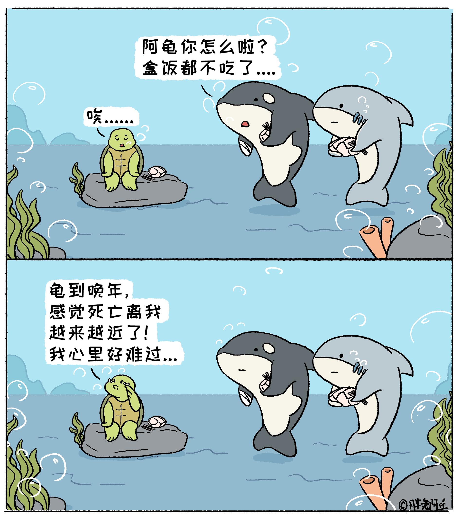 生命，祝你新春快乐！