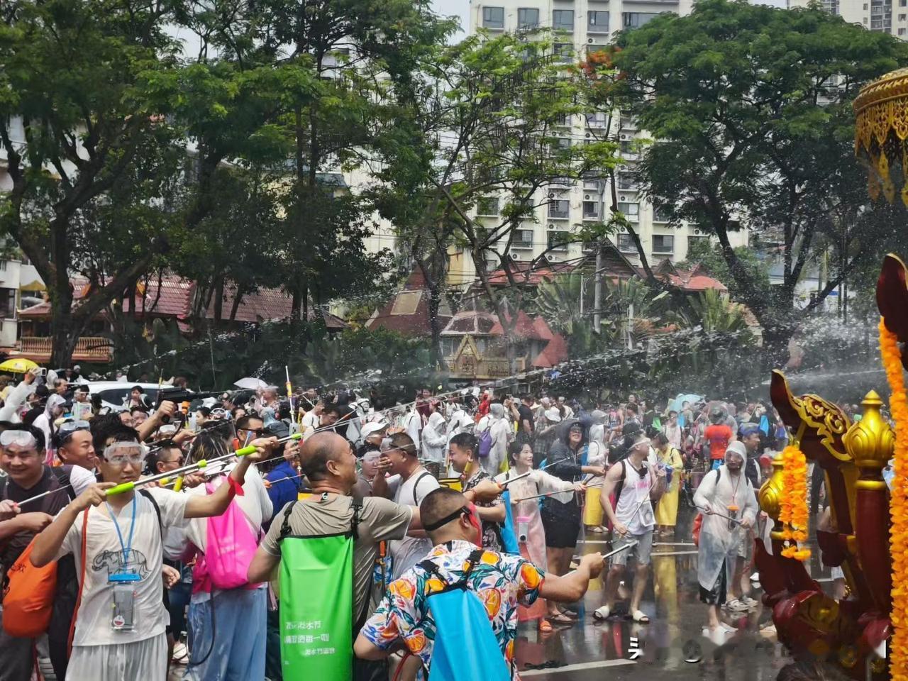 今年春天最想实现的心愿