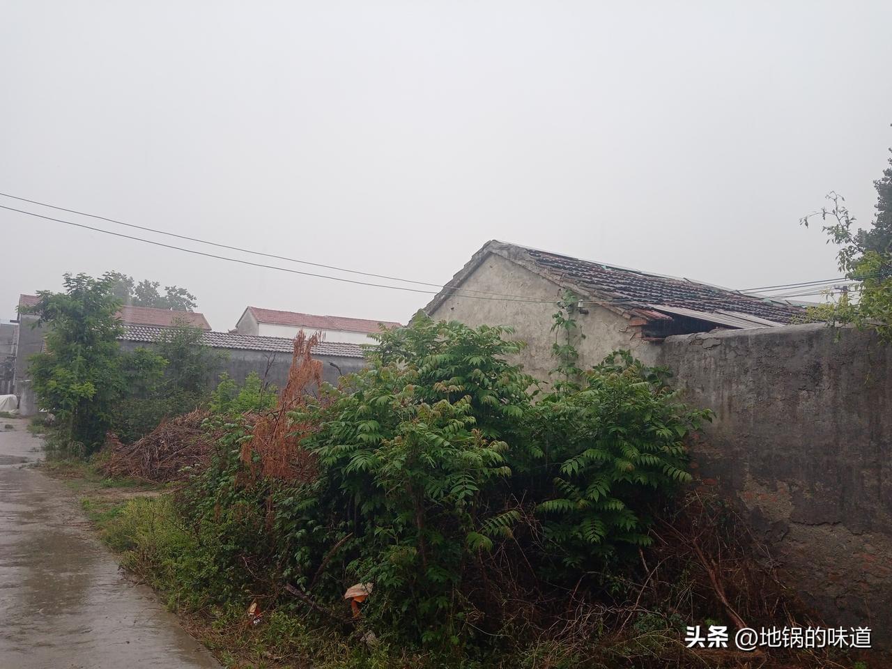 大旱不过五月十三
有雨落十三，下到六月半
十三无雨旱半月
五月十三雨绵绵，半月阴