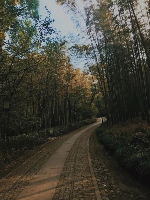 上联：松窗静坐听泉响；
下联：竹径漫步观鹭飞。