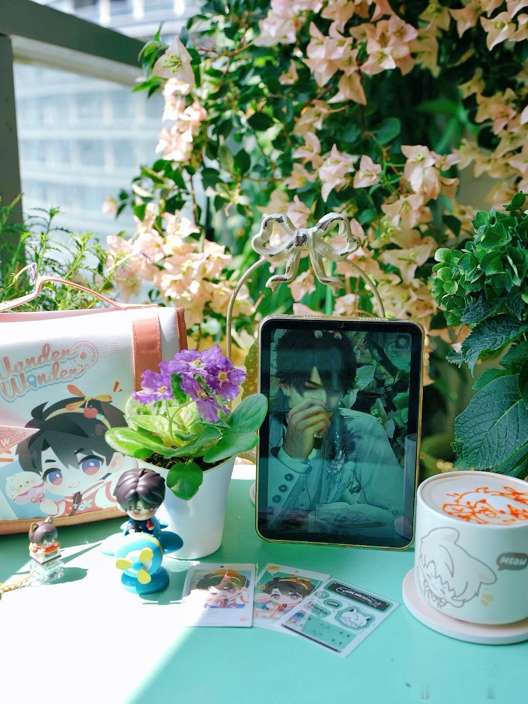 早午安(ᐡ⦁⩊⦁⸝⸝ᐡ )₊୭今天不是立秋了吗，怎么热成这样！我拍几张照片整个汗