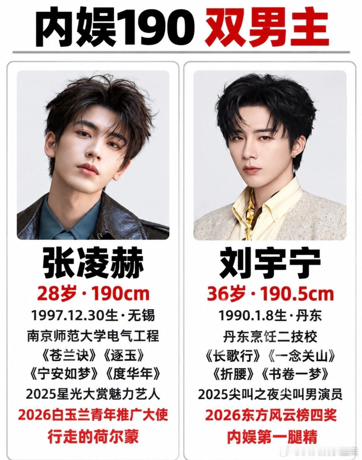 内娱190双男主！张凌赫&刘宇宁。一个高颜值学霸，一个草根逆袭，内娱190天团张